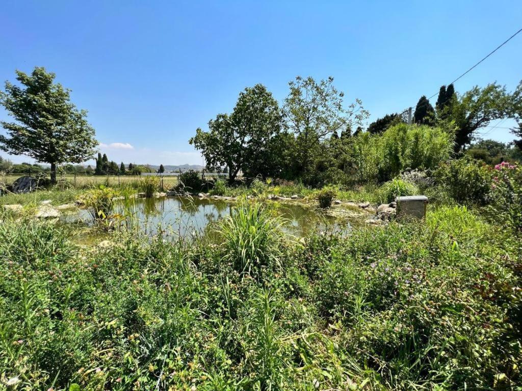 مبيت وإفطار سالو دو بروفونْسْ Bastide Des Martelieres المظهر الخارجي الصورة